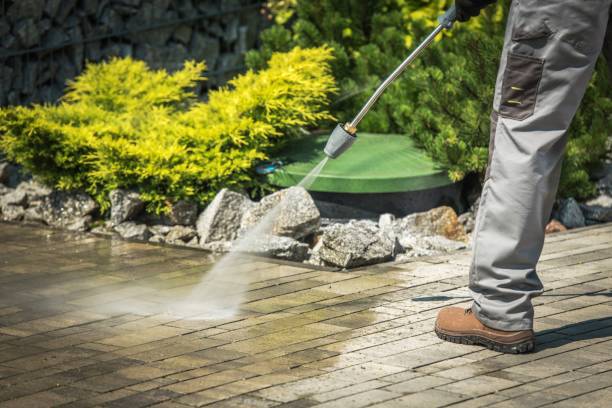 Best Animal Enclosure Cleaning  in La Joya, TX