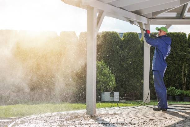 Best Sidewalk and Walkway Cleaning  in La Joya, TX