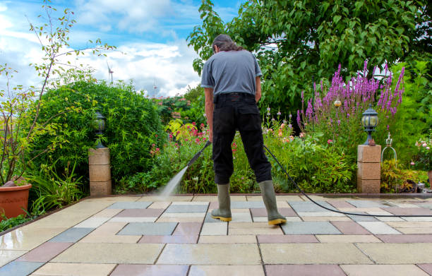 Best Patio and Deck Pressure Washing  in La Joya, TX