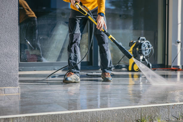 Best Restaurant Pressure Washing  in La Joya, TX