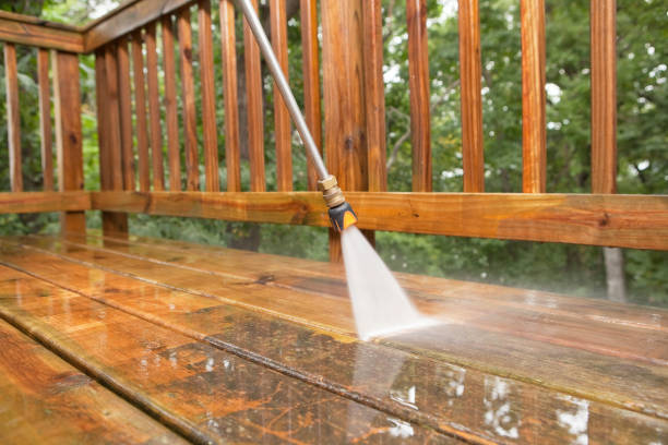 Best Building Exterior Washing  in La Joya, TX