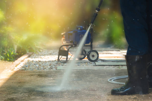 Best House Exterior Washing  in La Joya, TX
